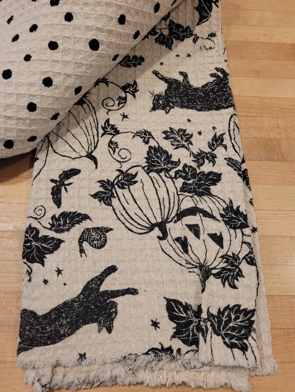 Rachel Zoe Cream and Black Halloween Pumpkin & Cat Kitchen Towel Set
